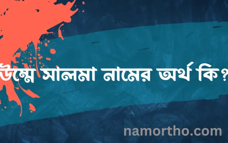 উম্মে সালমা নামের অর্থ কি? ইসলামিক আরবি বাংলা অর্থ এবং নামের তাৎপর্য