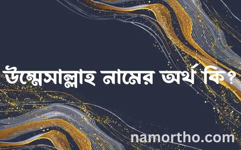 উম্মেসাল্লাহ নামের আর্থ কি?