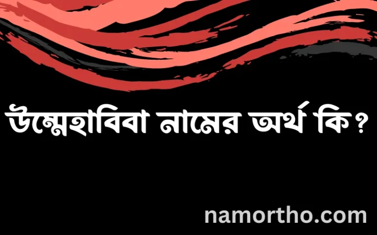 উম্মেহাবিবা নামের অর্থ কি? (ব্যাখ্যা ও বিশ্লেষণ) জানুন