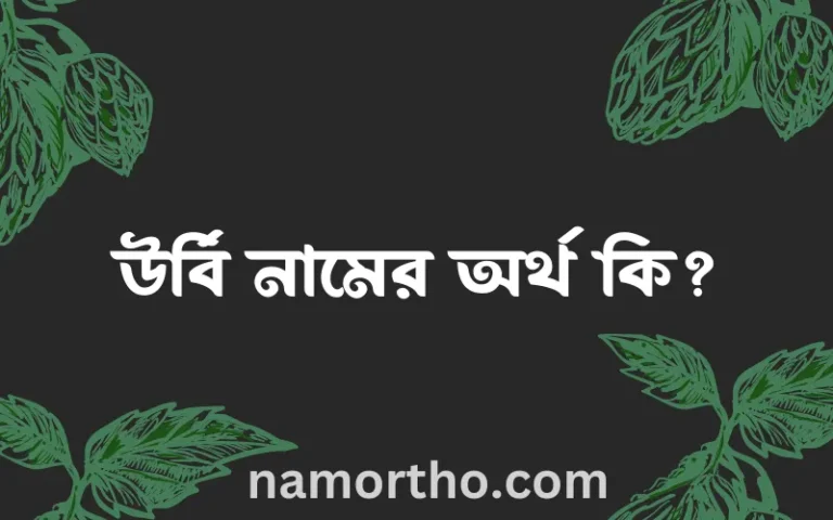 উর্বি নামের অর্থ কি? উর্বি নামের বাংলা, আরবি/ইসলামিক অর্থসমূহ