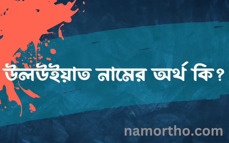 উলউইয়াত নামের অর্থ কি? উলউইয়াত নামের ইসলামিক অর্থ এবং বিস্তারিত তথ্য সমূহ