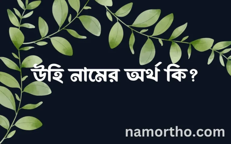 উহি নামের অর্থ কি? উহি নামের ইসলামিক অর্থ এবং বিস্তারিত তথ্য সমূহ