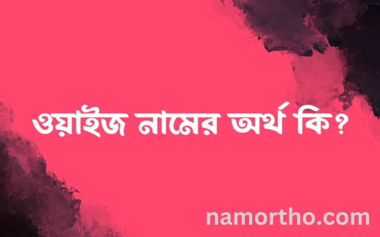 ওয়াইজ নামের অর্থ কি? ওয়াইজ নামের ইসলামিক অর্থ এবং বিস্তারিত তথ্য সমূহ