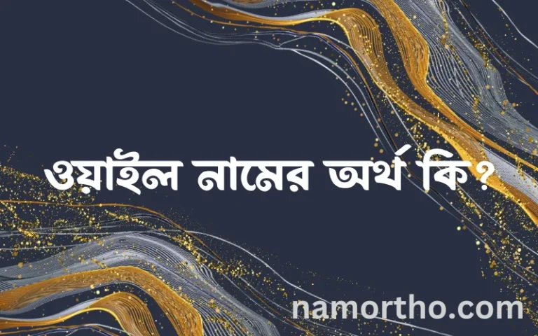 ওয়াইল নামের অর্থ কি? (ব্যাখ্যা ও বিশ্লেষণ) জানুন