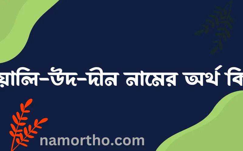 ওয়ালি-উদ-দীন নামের আর্থ কি?