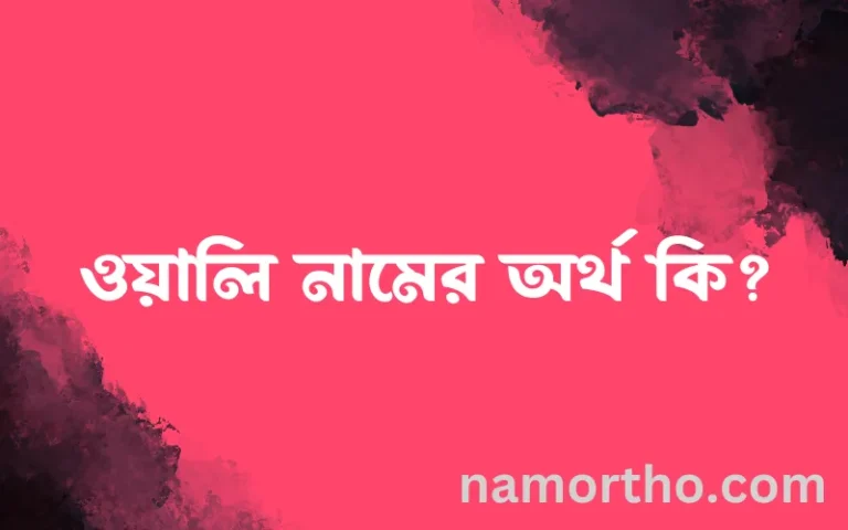 ওয়ালি নামের অর্থ কি? ইসলামিক আরবি বাংলা অর্থ