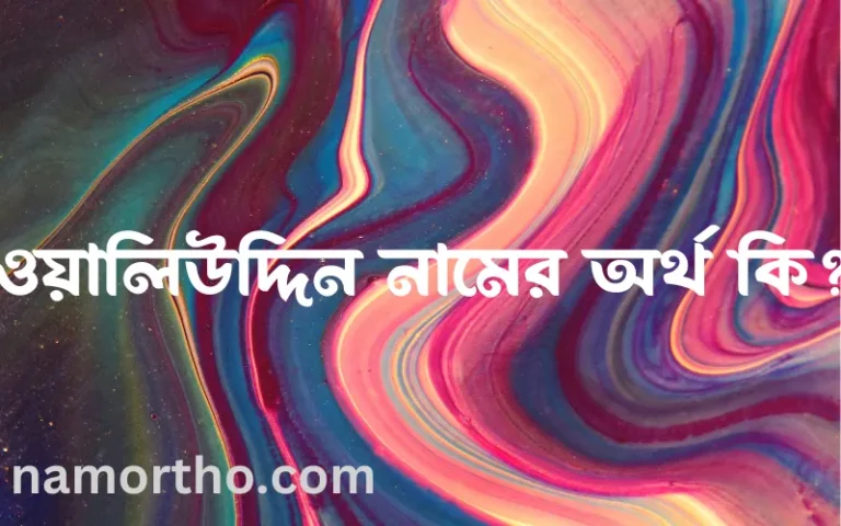 ওয়ালিউদ্দিন নামের অর্থ কি? ওয়ালিউদ্দিন নামের বাংলা, আরবি/ইসলামিক অর্থসমূহ