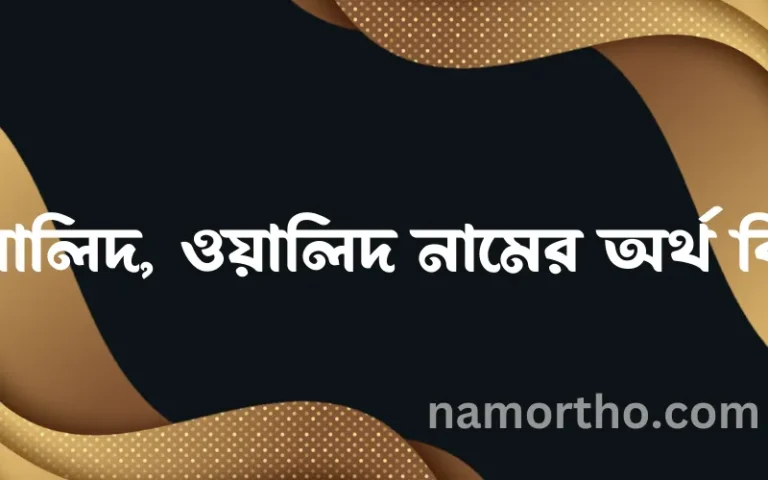 ওয়ালিদ, ওয়ালিদ নামের অর্থ কি, ইসলামিক আরবি এবং বাংলা অর্থ জানুন
