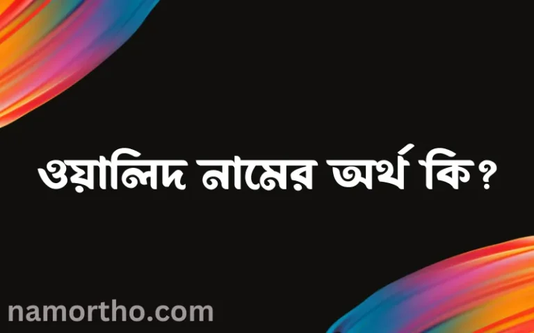 ওয়ালিদ নামের বাংলা আরবি ইসলামিক অর্থ কি?