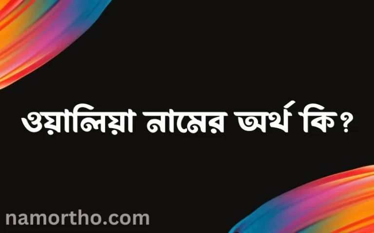 ওয়ালিয়া নামের অর্থ কি? ওয়ালিয়া নামের বাংলা, আরবি/ইসলামিক অর্থসমূহ