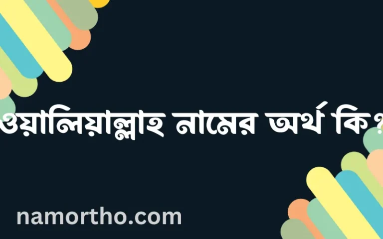 ওয়ালিয়াল্লাহ নামের অর্থ কি? (ব্যাখ্যা ও বিশ্লেষণ) জানুন
