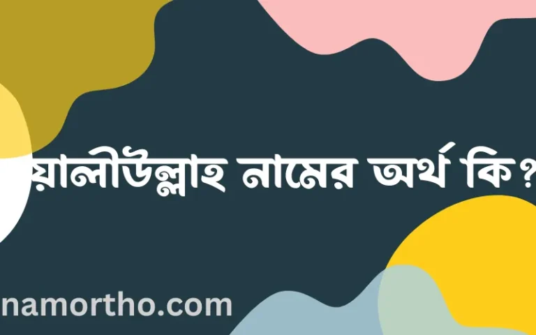 ওয়ালীউল্লাহ নামের অর্থ কি? ওয়ালীউল্লাহ নামের বাংলা, আরবি/ইসলামিক অর্থসমূহ
