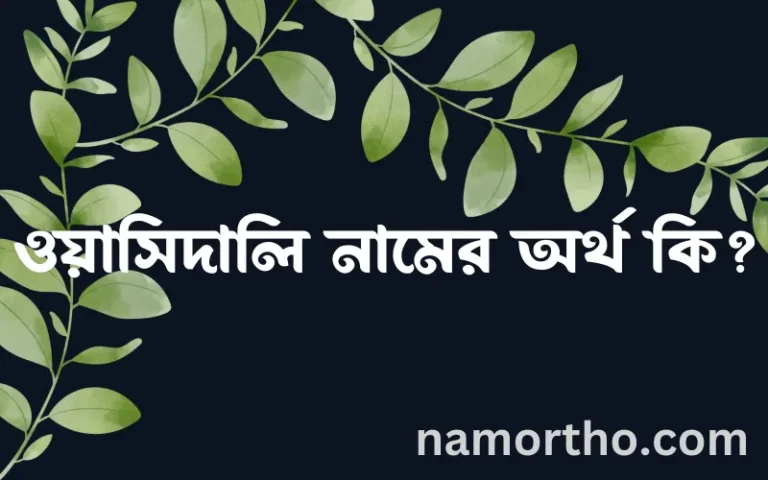 ওয়াসিদালি নামের অর্থ কি? ইসলামিক আরবি বাংলা অর্থ এবং নামের তাৎপর্য