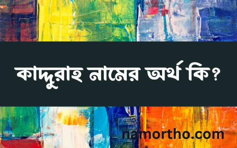 কাদ্দুরাহ নামের অর্থ কি? কাদ্দুরাহ নামের ইসলামিক অর্থ এবং বিস্তারিত তথ্য সমূহ