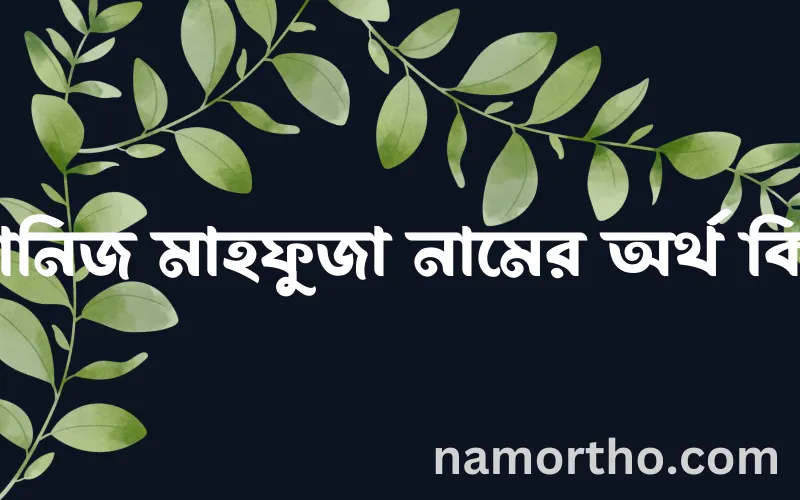কানিজ মাহফুজা নামের আর্থ কি?