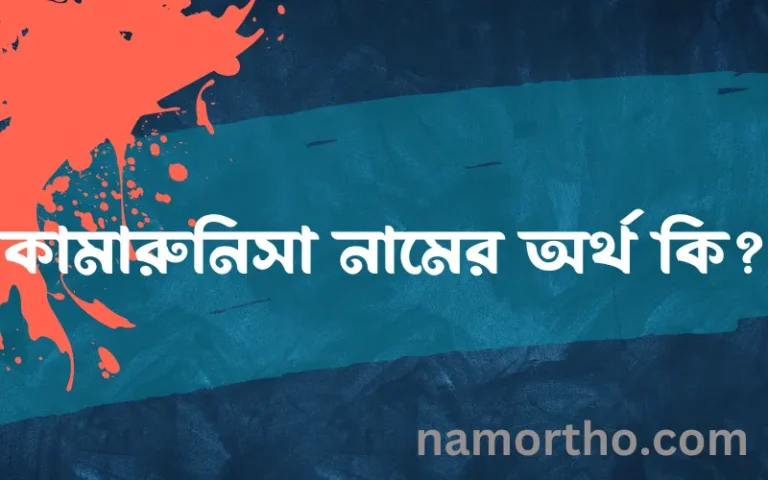 কামারুনিসা নামের অর্থ কি? কামারুনিসা নামের বাংলা, আরবি/ইসলামিক অর্থসমূহ
