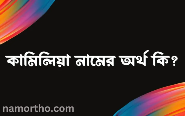 কামিলিয়া নামের অর্থ কি? কামিলিয়া নামের ইসলামিক অর্থ এবং বিস্তারিত তথ্য সমূহ