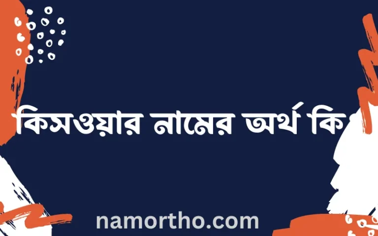 কিসওয়ার নামের অর্থ কি? কিসওয়ার নামের বাংলা, আরবি/ইসলামিক অর্থসমূহ