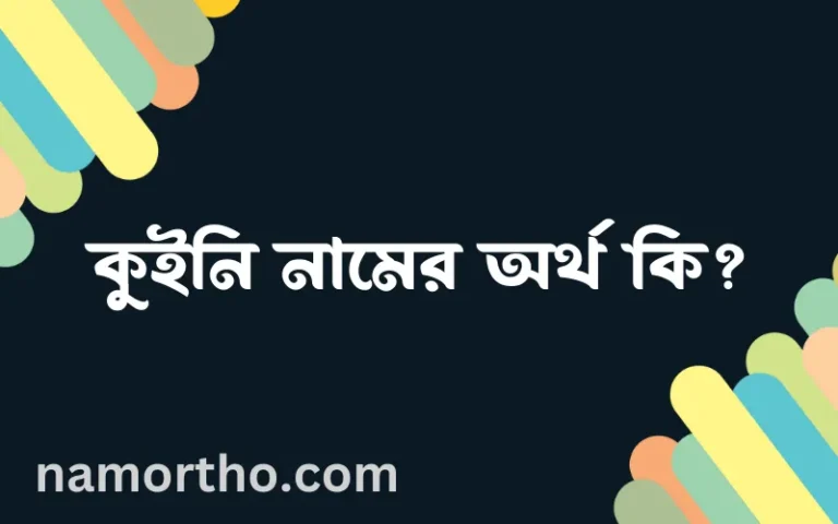 কুইনি নামের বাংলা আরবি ইসলামিক অর্থ কি?