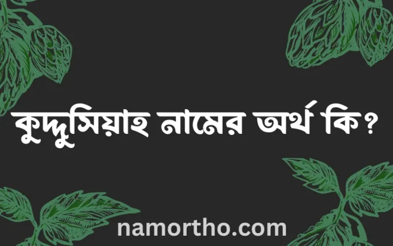 কুদ্দুসিয়াহ নামের অর্থ কি, ইসলামিক আরবি এবং বাংলা অর্থ জানুন