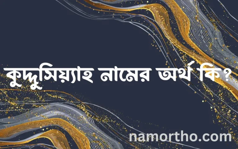 কুদ্দুসিয়্যাহ নামের অর্থ কি? কুদ্দুসিয়্যাহ নামের ইসলামিক অর্থ এবং বিস্তারিত তথ্য সমূহ