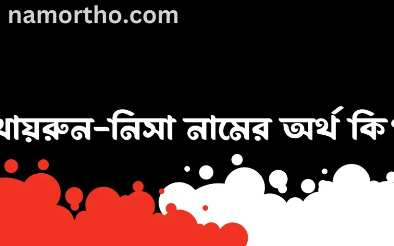 খায়রুন-নিসা নামের অর্থ কি? খায়রুন-নিসা নামের বাংলা, আরবি/ইসলামিক অর্থসমূহ