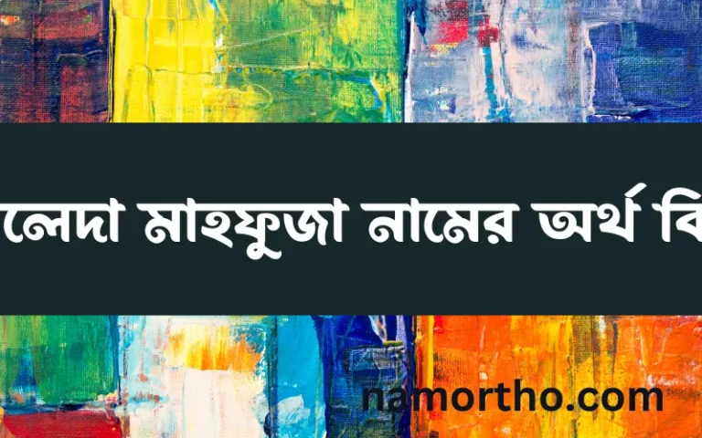 খালেদা মাহফুজা নামের অর্থ কি? খালেদা মাহফুজা নামের বাংলা, আরবি/ইসলামিক অর্থসমূহ