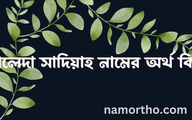 খালেদা সাদিয়াহ নামের অর্থ কি? খালেদা সাদিয়াহ নামের বাংলা, আরবি/ইসলামিক অর্থসমূহ