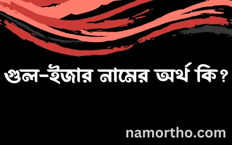 গুল-ইজার নামের অর্থ কি? (ব্যাখ্যা ও বিশ্লেষণ) জানুন