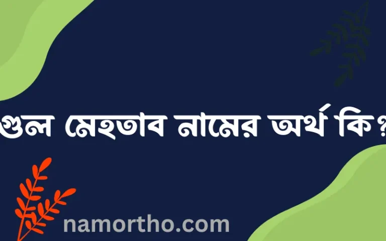 গুল মেহতাব নামের অর্থ কি এবং ইসলাম কি বলে? (বিস্তারিত)