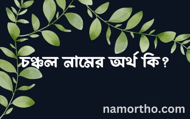 চঞ্চল নামের অর্থ কি? (ব্যাখ্যা ও বিশ্লেষণ) জানুন