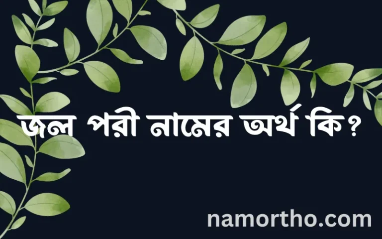 জল পরী নামের অর্থ কি? জল পরী নামের বাংলা, আরবি/ইসলামিক অর্থসমূহ