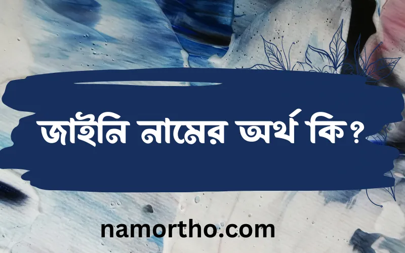 জাইনি নামের আর্থ কি?