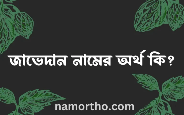 জাভেদান নামের অর্থ কি? জাভেদান নামের বাংলা, আরবি/ইসলামিক অর্থসমূহ
