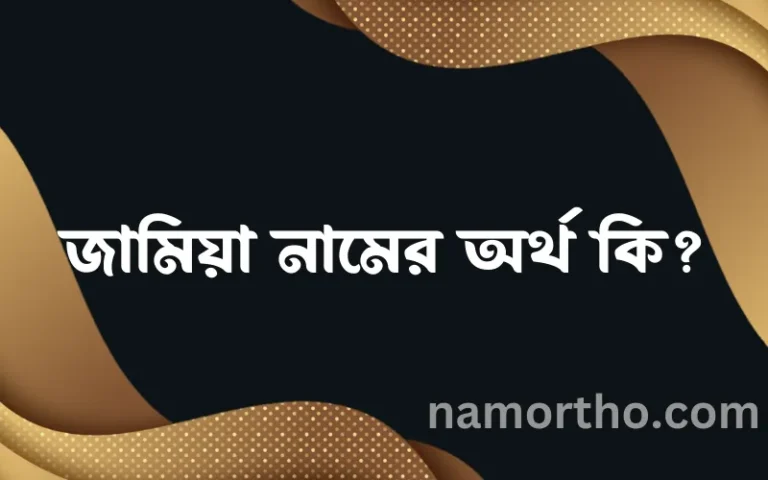 জামিয়া নামের অর্থ কি, বাংলা ইসলামিক এবং আরবি অর্থ?