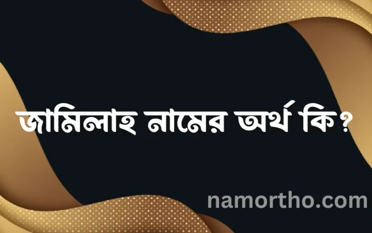 জামিলাহ নামের অর্থ কি এবং ইসলাম কি বলে? (বিস্তারিত)