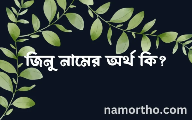জিনু নামের অর্থ কি? জিনু নামের বাংলা, আরবি/ইসলামিক অর্থসমূহ
