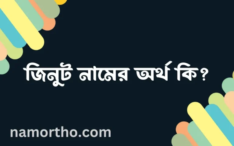 জিনুট নামের অর্থ কি? জিনুট নামের বাংলা, আরবি/ইসলামিক অর্থসমূহ