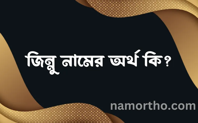 জিন্নু নামের আর্থ কি?