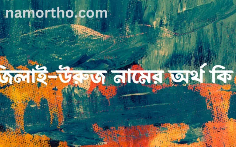 জিলাই-উরুজ নামের অর্থ কি? ইসলামিক আরবি বাংলা অর্থ এবং নামের তাৎপর্য