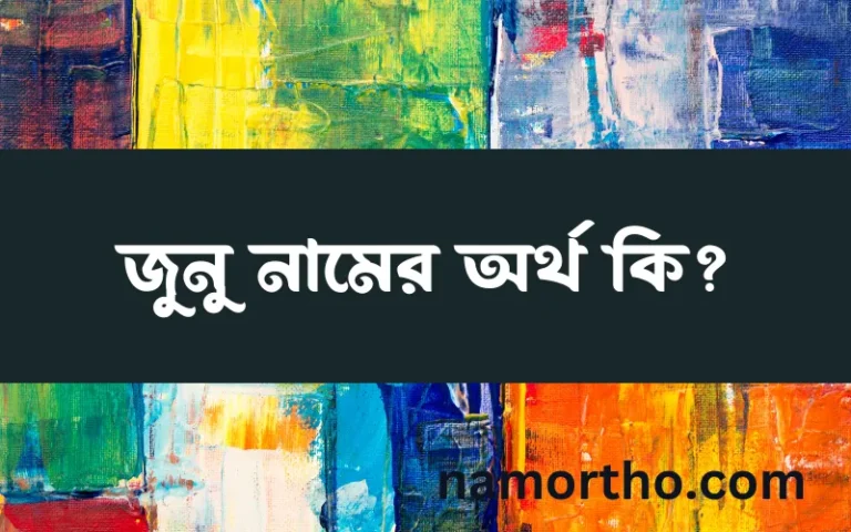 জুনু নামের অর্থ কি? ইসলামিক আরবি বাংলা অর্থ এবং নামের তাৎপর্য