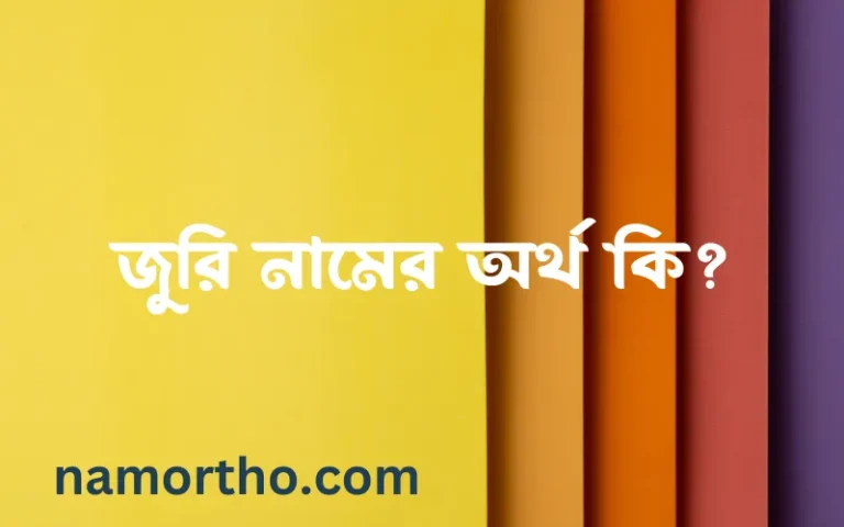 জুরি নামের অর্থ কি, ইসলামিক আরবি এবং বাংলা অর্থ জানুন