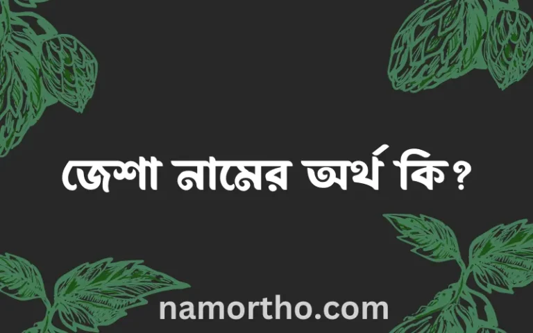 জেশা নামের অর্থ কি? জেশা নামের বাংলা, আরবি/ইসলামিক অর্থসমূহ