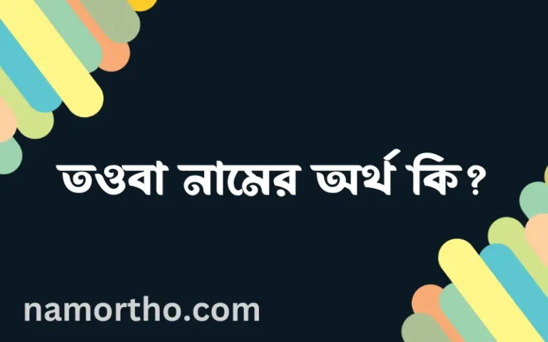 তওবা নামের অর্থ কি, ইসলামিক আরবি এবং বাংলা অর্থ জানুন