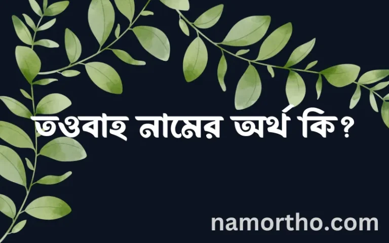 তওবাহ নামের অর্থ কি? তওবাহ নামের ইসলামিক অর্থ এবং বিস্তারিত তথ্য সমূহ