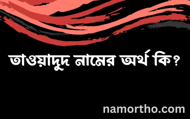 তাওয়াদুদ নামের অর্থ কি, ইসলামিক আরবি এবং বাংলা অর্থ জানুন