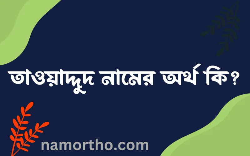 তাওয়াদ্দুদ নামের আর্থ কি?
