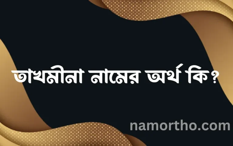 তাখমীনা নামের অর্থ কি? ইসলামিক আরবি বাংলা অর্থ