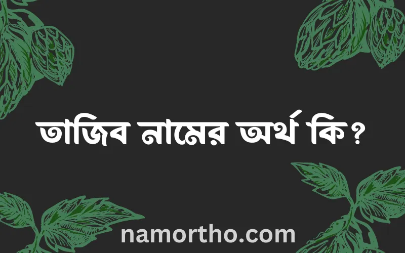 তাজিব নামের আর্থ কি?