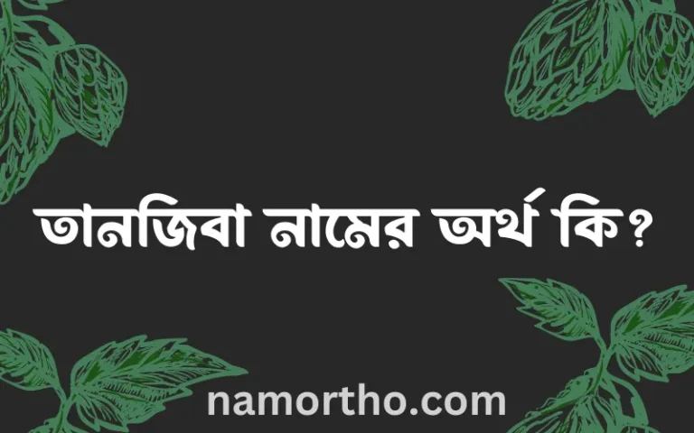 তানজিবা নামের অর্থ কি? ইসলামিক আরবি বাংলা অর্থ